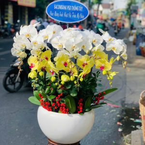CHẬU HOA LAN HL-02