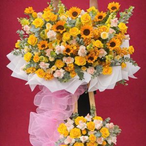 HOÀNG KIM THỊNH VƯỢNG 01