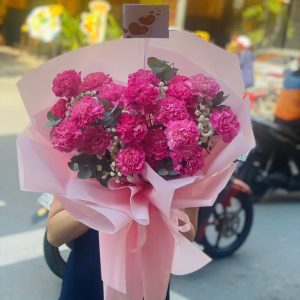 CẨM CHƯỚNG HỒNG