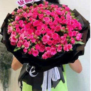 HỒNG MỘNG MƠ