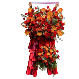 KHỞI ĐẦU THUẬN LỢI