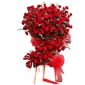 Khởi đầu mới 01